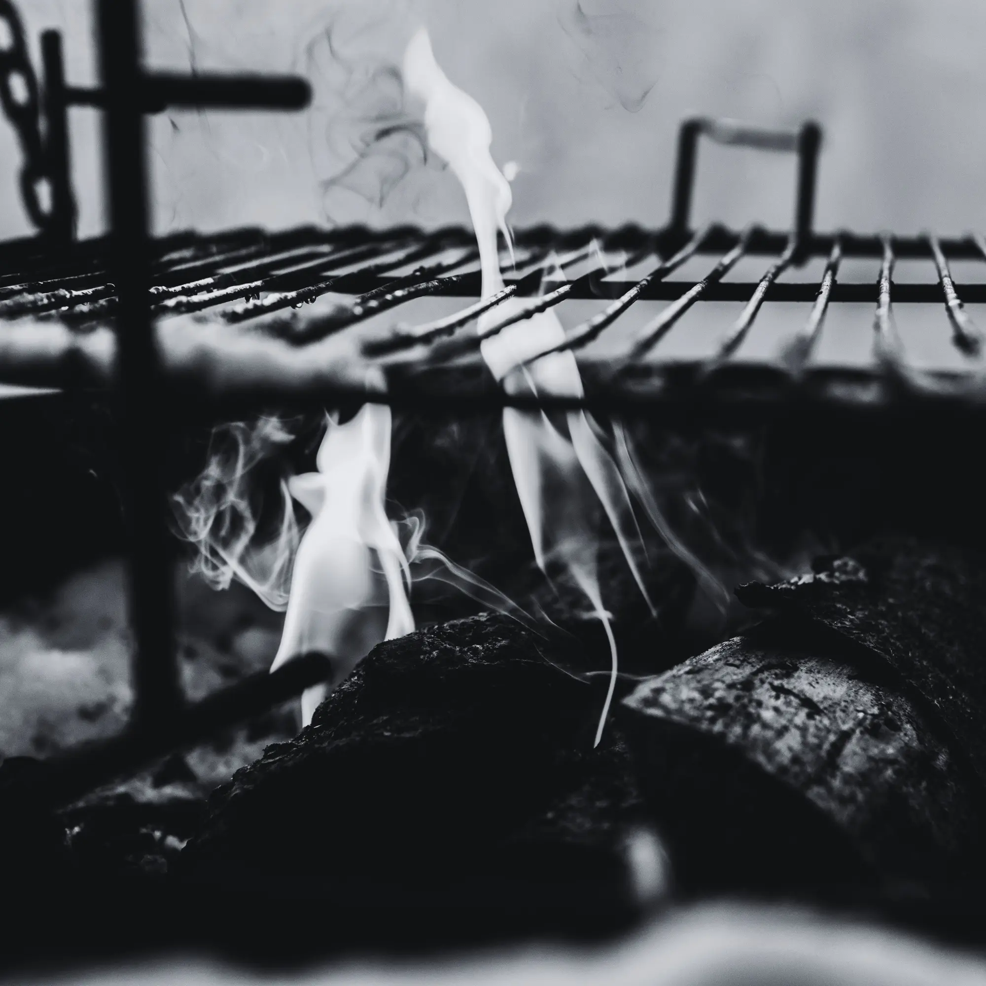 Wild venison sizzling over open fire BBQ, showcasing flavour-packed sustainable meat for outdoor cooking